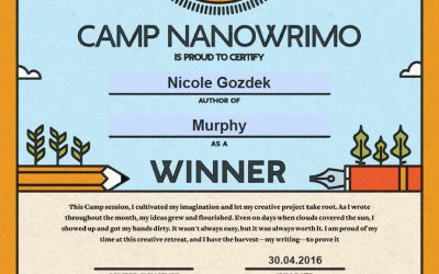 Mein erstes NaNoWriMo Camp